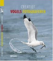 Birds - Dutch Cover1
