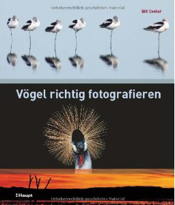 Birds - German Cover
