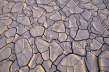 Dried Lake Bed