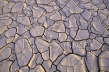 Dried Up Lake Bed