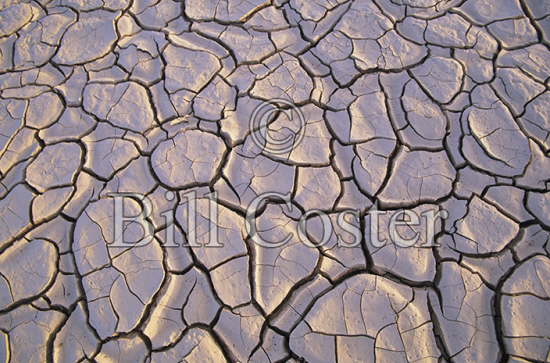 Dried Up Lake Bed