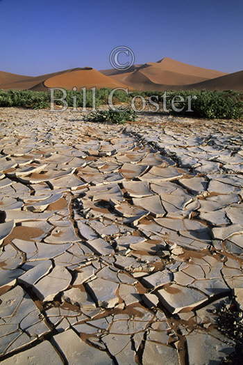 Dried Up Lake Bed