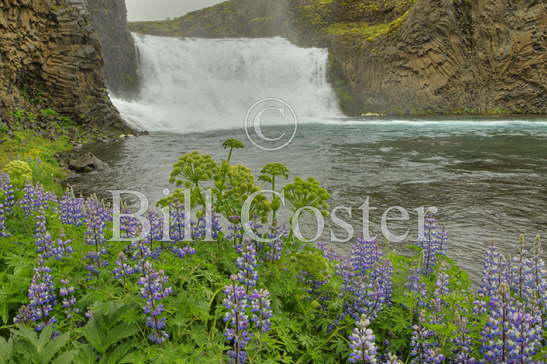 Hjalparfoss Waterfall 