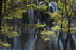 Nuorilang Waterfall - Jiuzhaigou NP