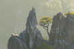 Yellow Mountains Rocks & Tree